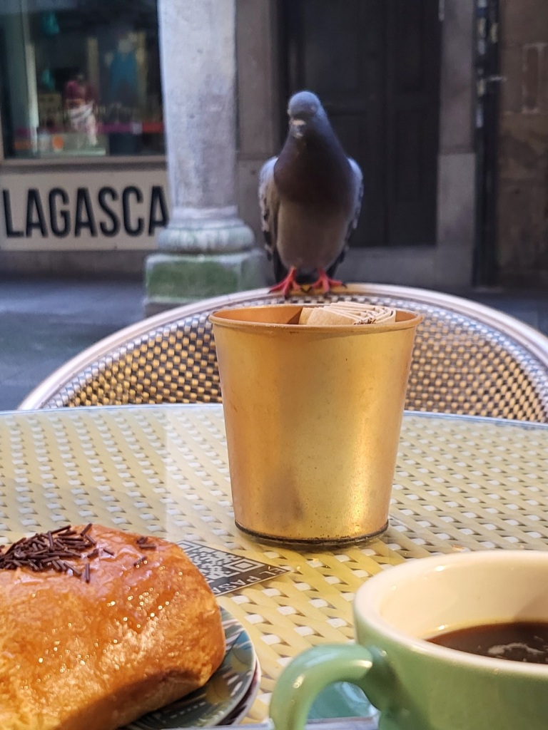 A pigeon is perched on the back of a chair at a sidewalk cafe in Pontevedra, Spain.